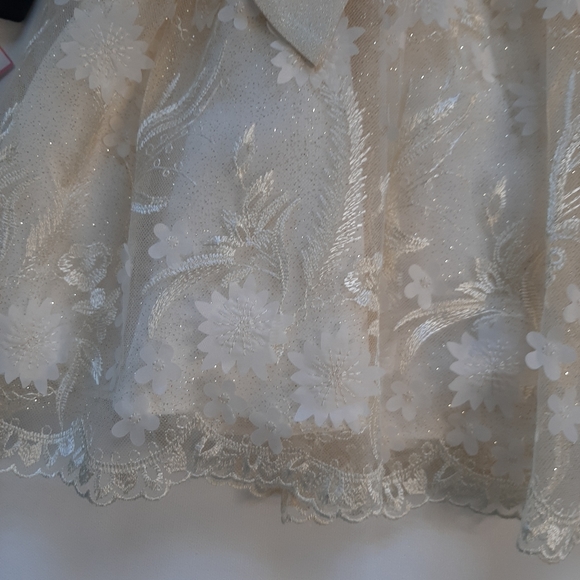 Rare Editions Beautiful Baby Girl Formal Velvet Lace Dress 24M - Picture 10 of 12